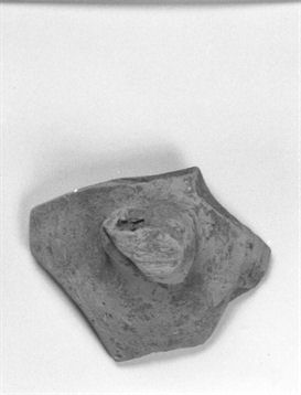 coperchio